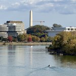 Bagels in the park with Bryan & Kate, lunch at Yellow in Georgetown, flight back to SFO