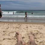 Chill Bondi Beach day (😢)