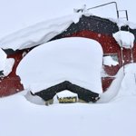 Insane levels of powder