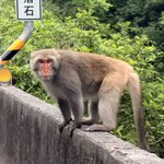Made some new friends on today's ride