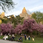 Great day to ride in the park